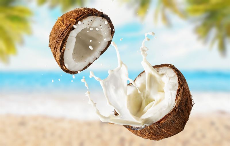 Consumir coco: benefícios que você ainda não conhecia